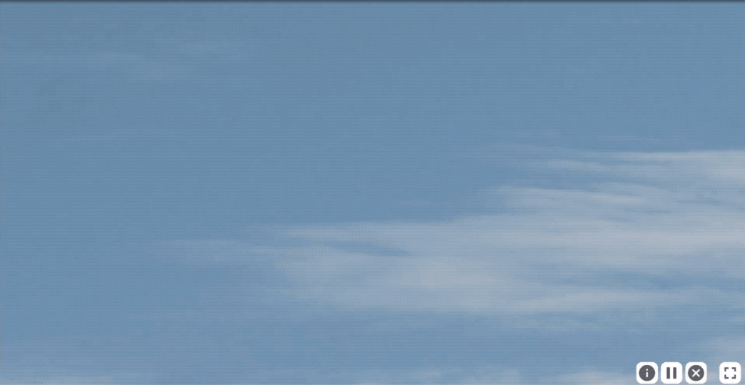 An animation where a flock of birds appear on screen in a circle, and then disappear after a brief moment.