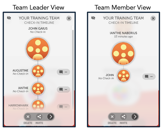 Team Leader View vs Team Member View.png