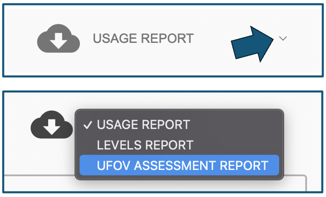 22UFOV usage report download buttons.png