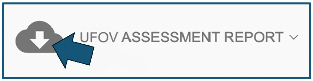 28UFOV ufov assessment report download button.png