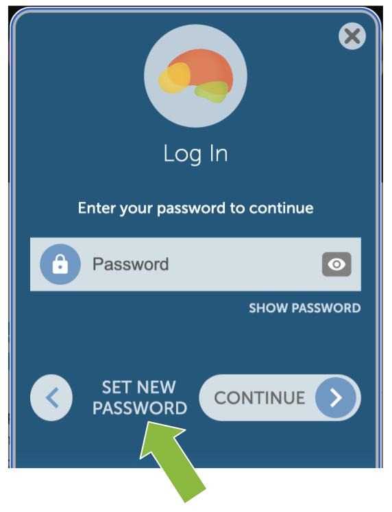 Log In screen, set new password is at the bottom of the screen between the back arrow and continue